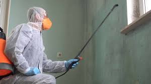 Why You Should Choose Our Mold Remediation Services in Delisle, MS